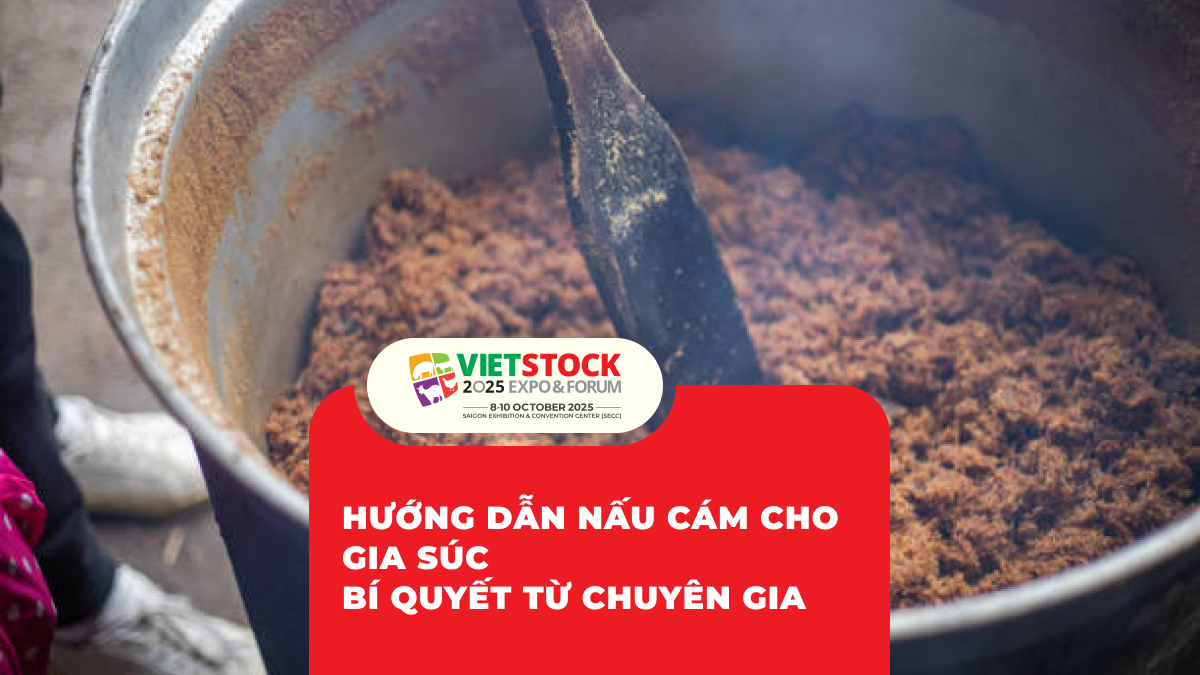 Hướng Dẫn Nấu Cám Cho Gia Súc Bí Quyết Từ Chuyên Gia